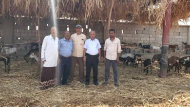 مدير زراعة تعز يتفقد مشروع الحجر البيطري في المخا ويوجّه بتشديد الإجراءات الصحية