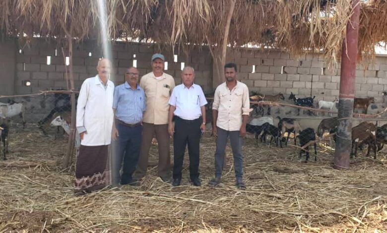 مدير زراعة تعز يتفقد مشروع الحجر البيطري في المخا ويوجّه بتشديد الإجراءات الصحية
