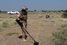 "مسام" ينزع 1,786 لغماً وذخيرة متفجرة خلال أسبوع في اليمن