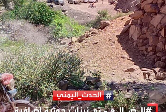 الحوثية ترسل قوات إضافية لحصار قرى الحشا بالضالع