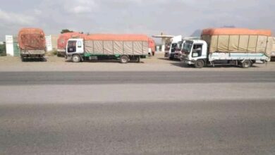 مليشيا الحوثي تكبد مزارعي الموز في تهامة خسائر فادحة
