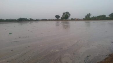 نجاة طفلتين من الغرق في وادي نخلة جنوب الحديدة