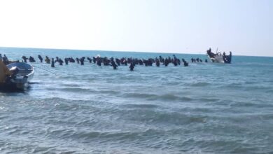 48 صياداً يمنياً يعودون إلى الحديدة بعد احتجاز قاسٍ في إريتريا دام 12 يوماً