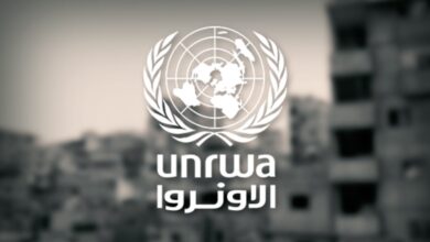 الأونروا تحذر: 1.6 مليون شخص في غزة يواجهون انعدام الأمن الغذائي رغم المساعدات