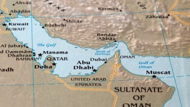 المنظمة البحرية الدولية: حرية الملاحة في المضايق الدولية مبدأ ثابت لا يجوز تقييده 3 المنظمة البحرية الدولية: حرية الملاحة في المضايق الدولية مبدأ ثابت لا يجوز تقييده